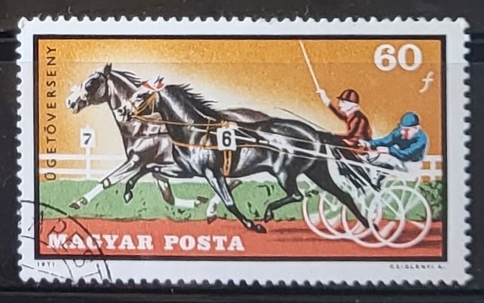 Trotting Horses (Equus ferus caballus)