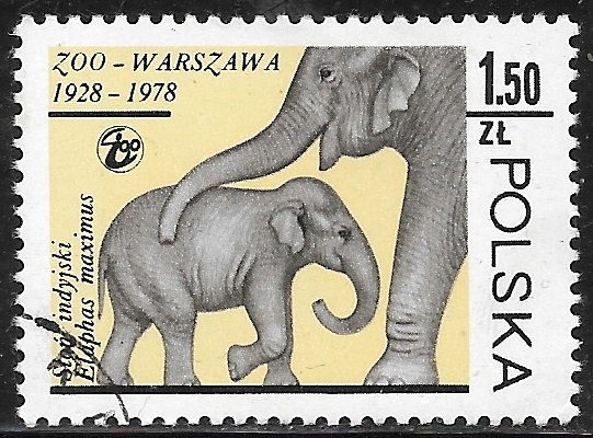 Fauna - Elephas maximus