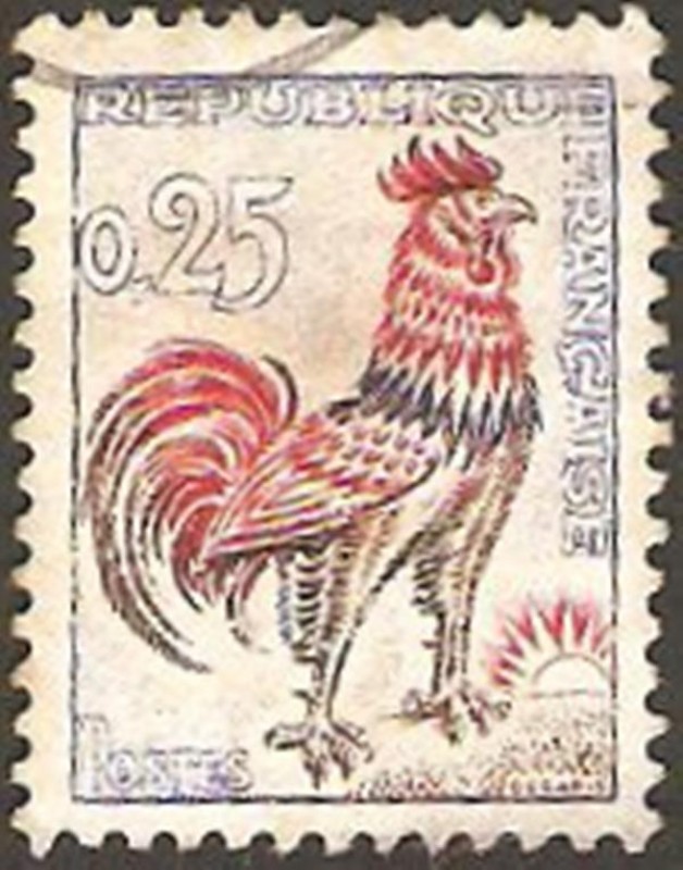 1331 - Gallo de Decaris