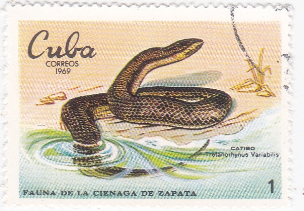 FAUNA DE LA CIENAGA DE ZAPATA