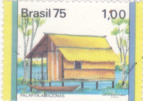 PALAFITA-AMAZONAS 