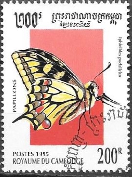 mariposas