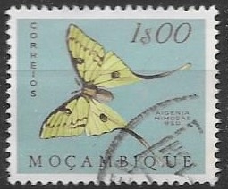 mariposas