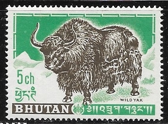 Animales - Yak 