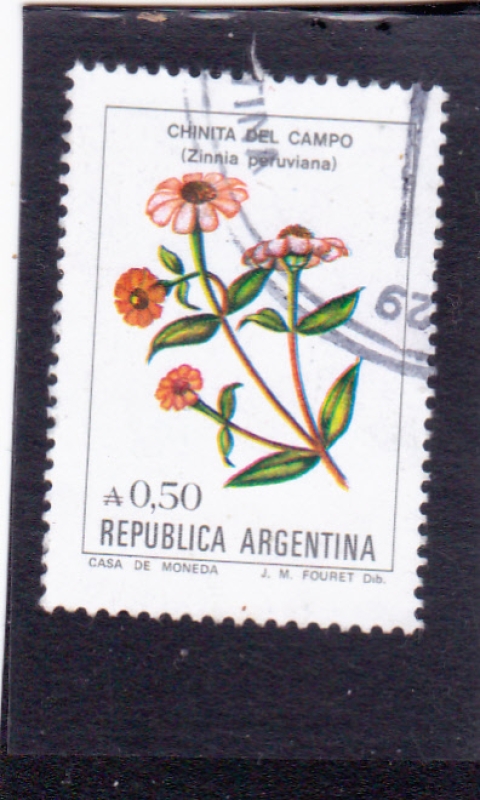 FLORES- chinita del campo