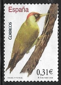 Aves -Picus viridis