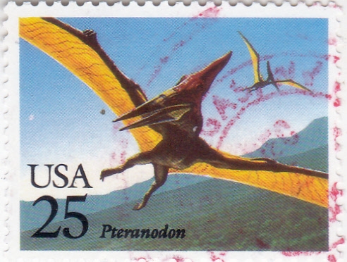 ANIMALES PREHISTÓRICOS- PTERANODON