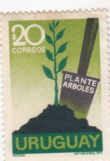 Plante arboles