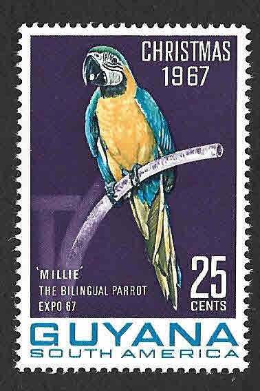 33A - Guacamayo Azulamarillo