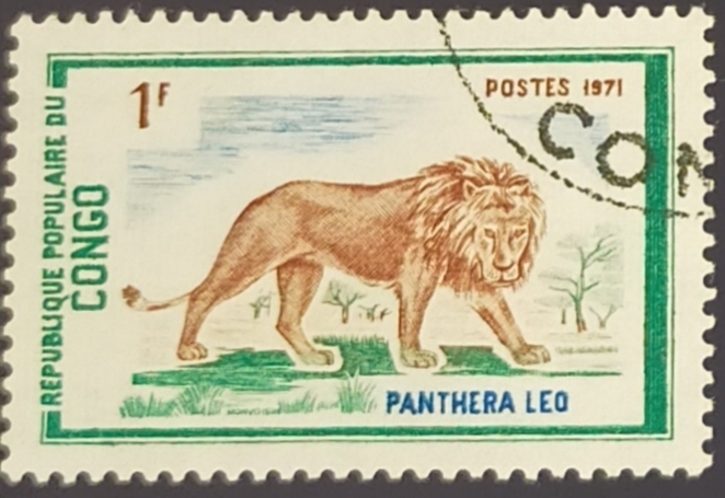 Panthera leo