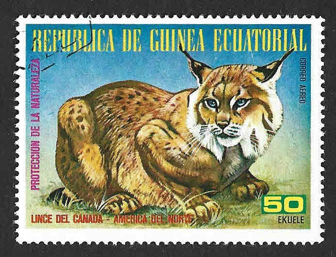 77-59 - Lince de Canada