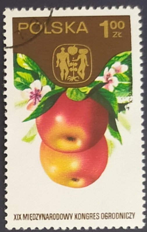 Manzana