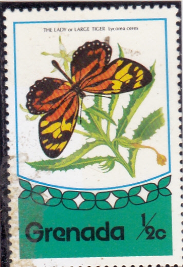 Mariposa