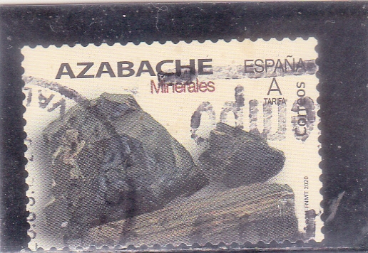 Azabache (51)