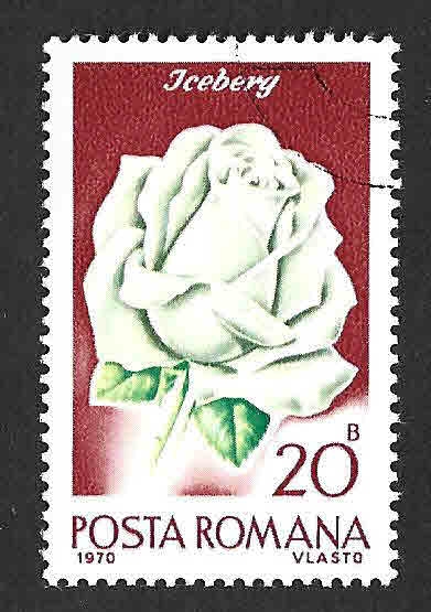 2192 - Rosa Iceberg