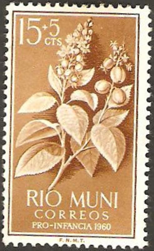 Rio Muni - Flor