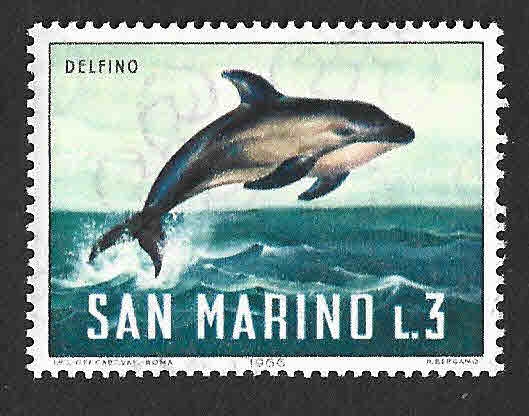 645 - Delfin