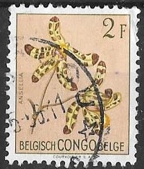 CONGO BELGA