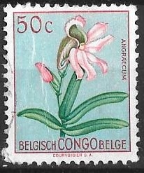 CONGO BELGA