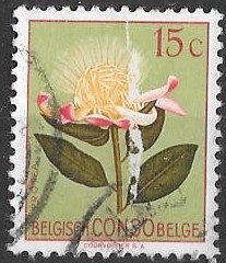 CONGO BELGA