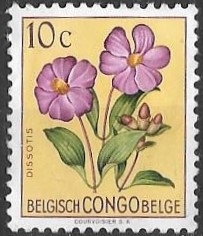 CONGO BELGA