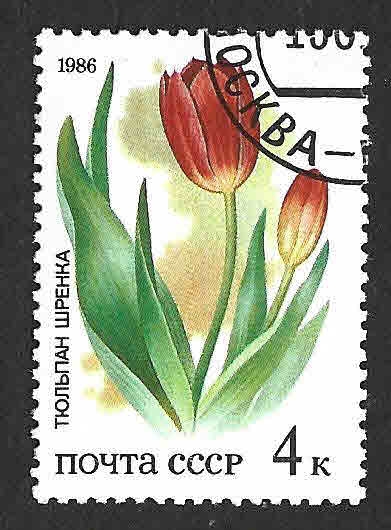 5424 - Flora de Estepa Rusa