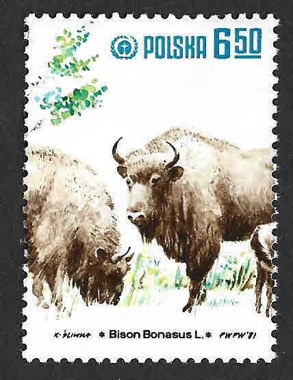 2471b - Bisonte Europeo