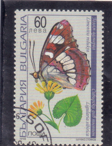 Mariposa