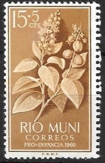 RIO MUNI