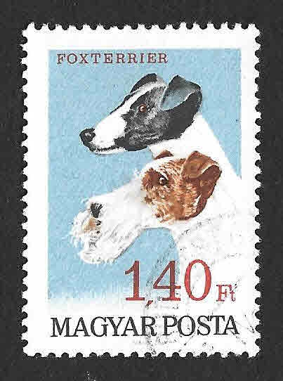 1838 - Fox Terrier