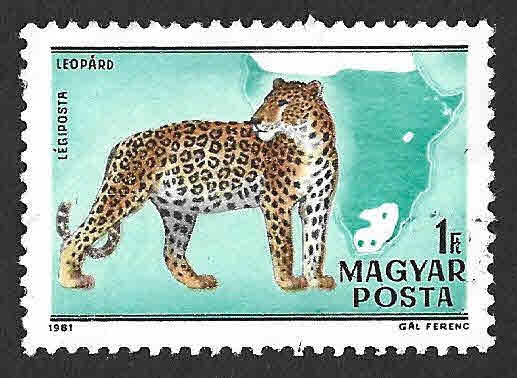 C427C - Leopardo