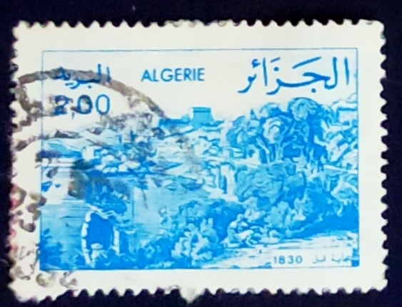 Bejaia (Type II)