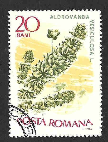 1867 - Aldrovanda