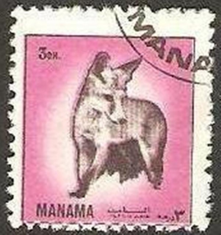 manama - perro