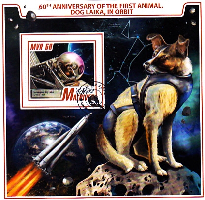 60 ANIVERSARIO DE LA PERRA LAIKA EN ORBITA
