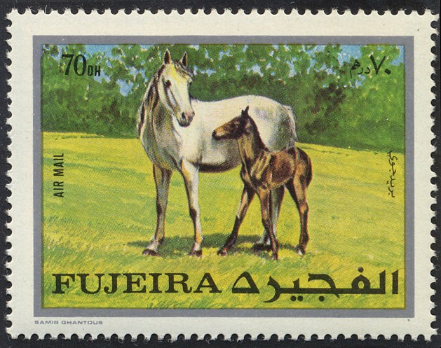 Caballos