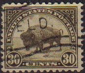 USA 1923 Scott 569 Sello Fauna Bufalo Americano usado Estados Unidos Etats Unis