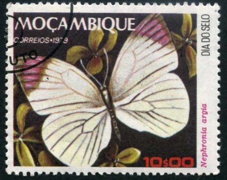 Mariposas