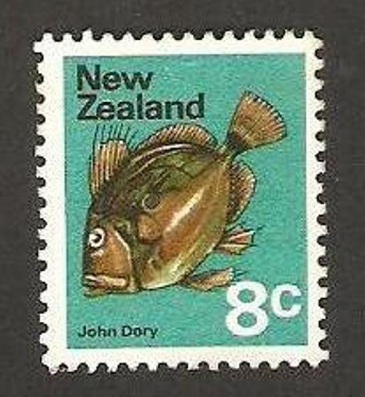 fauna, john dory