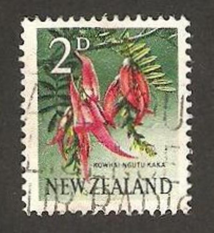 flora, kowhai ngutu kaka