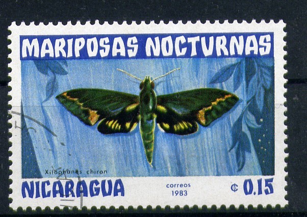 serie- Mariposas nocturnas