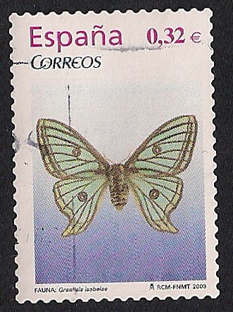 Flora y fauna - Graelisia Isabelae