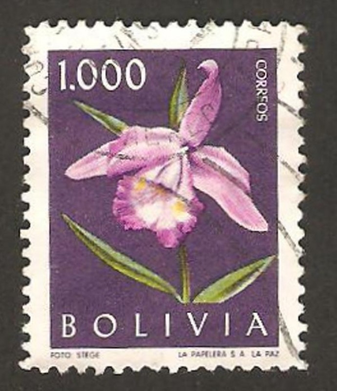 flora