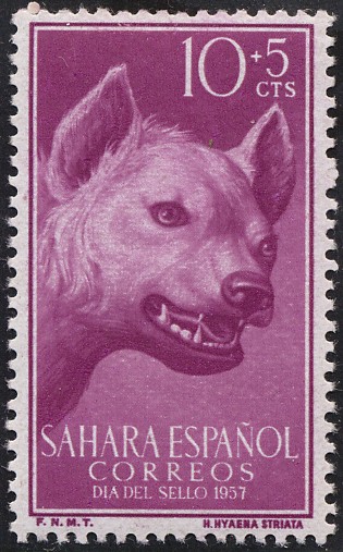 Sahara Español