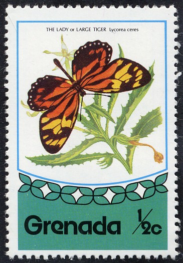 Mariposas