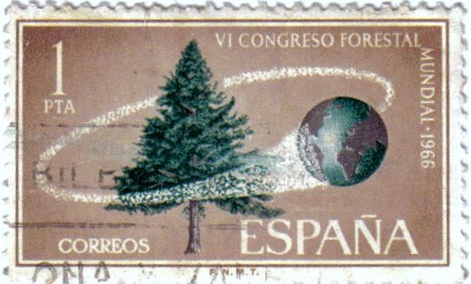 VI congreso forestal mundial