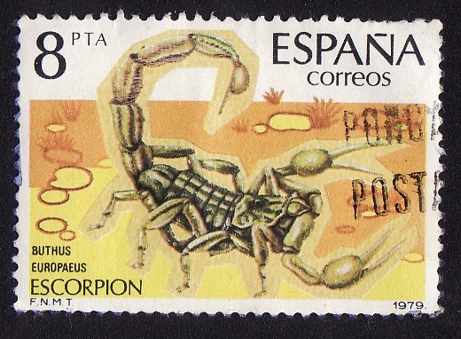 ESCORPION