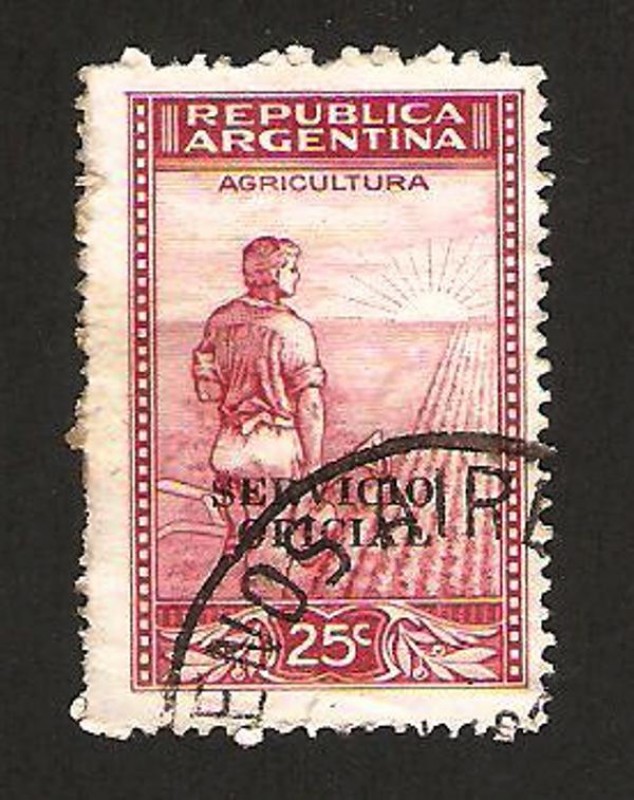 agricultura, campesino en el campo