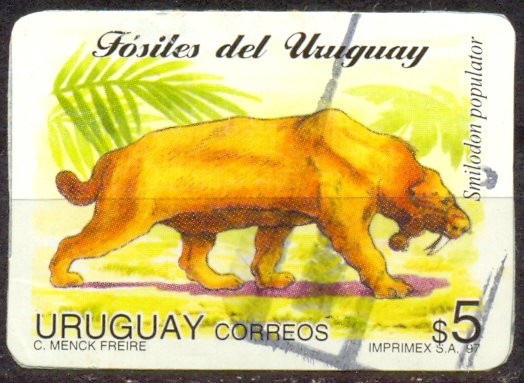 FOSILES DEL URUGUAY