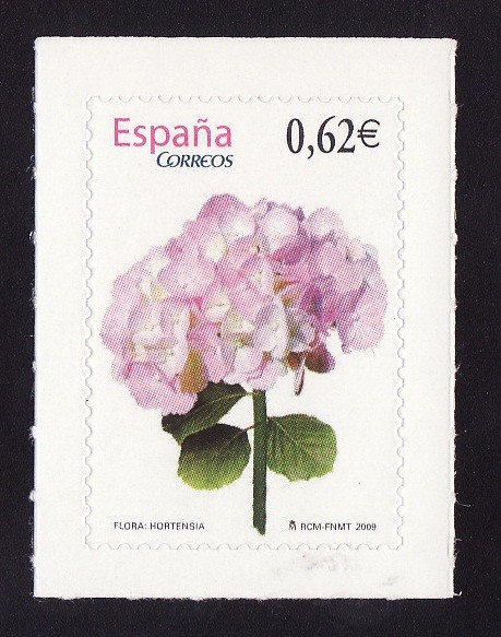 HORTENSIA